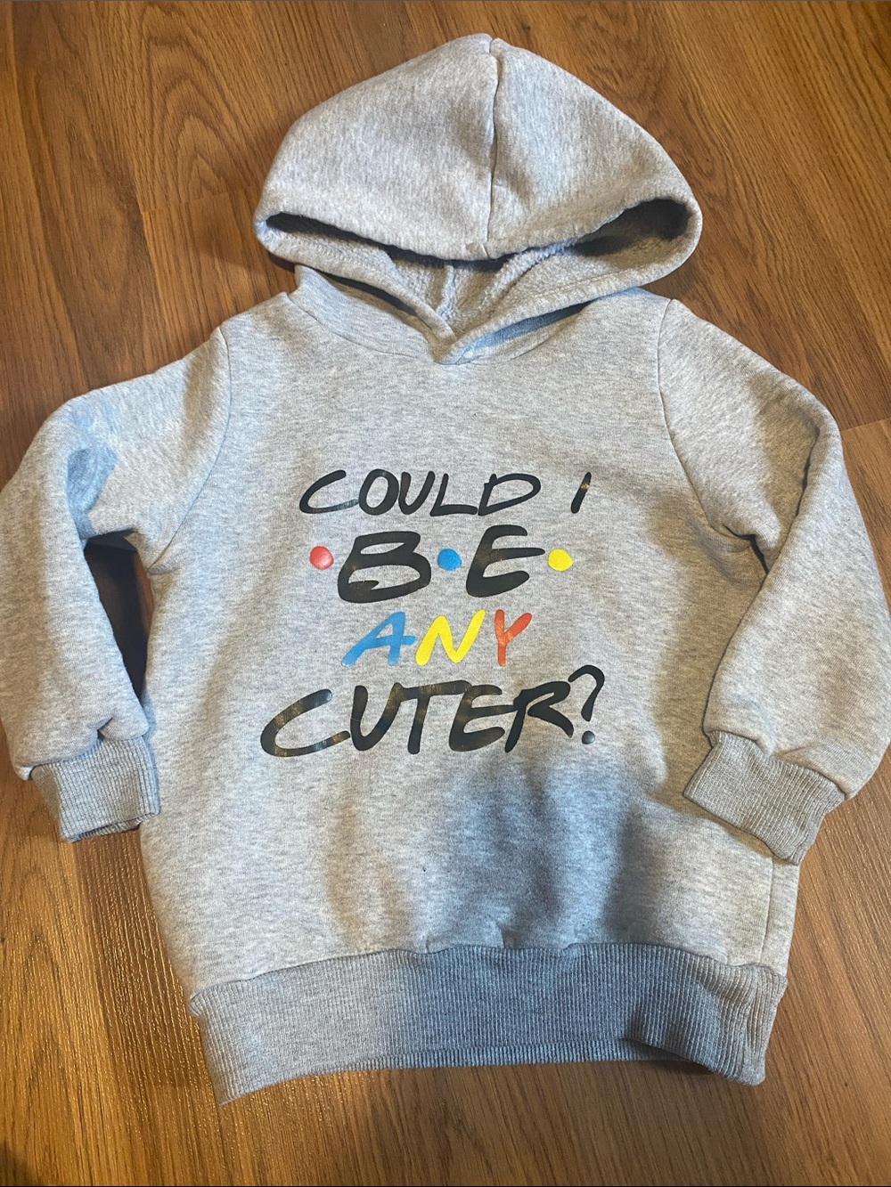 ✨8/$10. “Could I Be Any Cuter?" hoodie. Size 4T